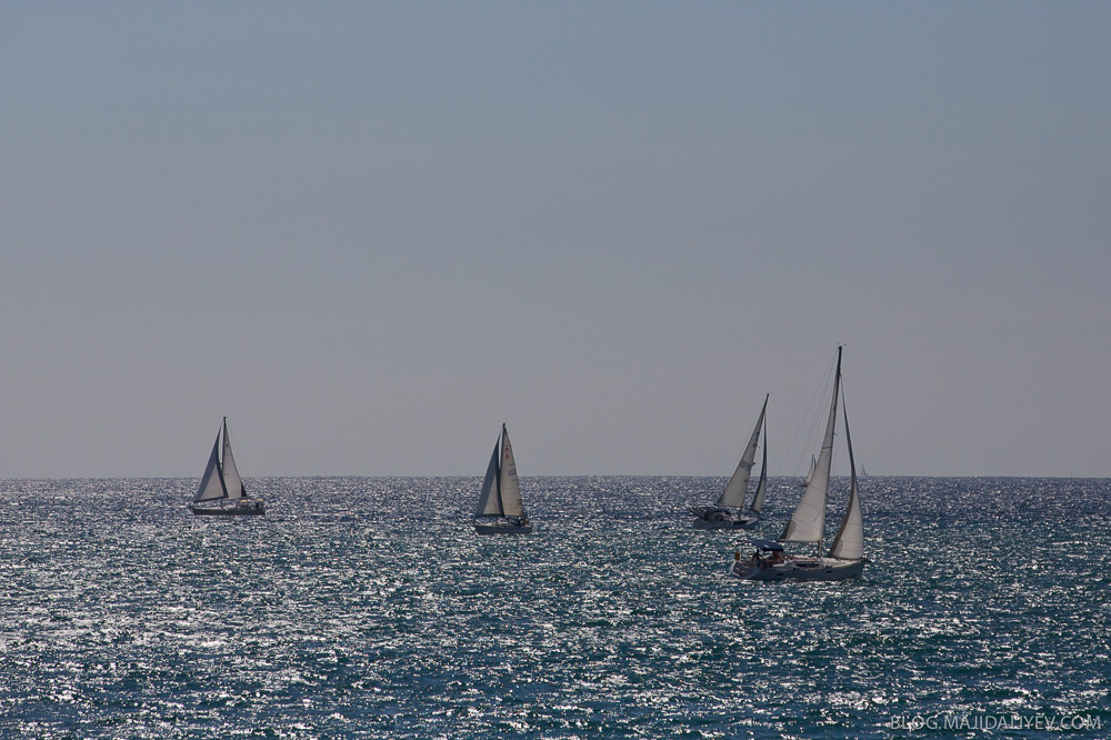 IMG_223529